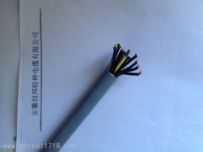 安徽潤邦特種電纜 專業(yè)拖鏈電纜產(chǎn)品與報價指南